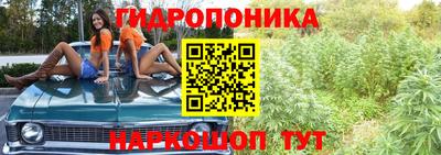 дживик Обь